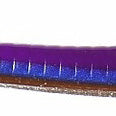 RoboWorm 6" FAT Worm