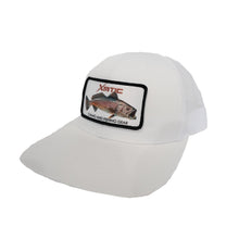 Load image into Gallery viewer, 6 Panel Trout Patch Hat - Xotic Camo &amp; Fishing Gear -
