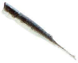 Pop Shad 4" Breaking Bream 3PK - Xotic Camo & Fishing Gear -POPSHAD4-311PK3