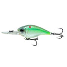 Cloud 9 C6 - Xotic Camo & Fishing Gear -C6-PC