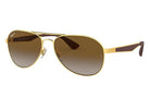 Gold/Brown Metal Brown Gradient - Xotic Camo & Fishing Gear -0RB3549 001/T5 61-16
