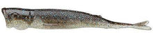 Load image into Gallery viewer, Pop Shad 4&quot; Breaking Bream 3PK - Xotic Camo &amp; Fishing Gear -POPSHAD4-311PK3
