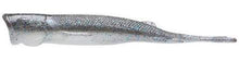 Load image into Gallery viewer, Pop Shad 4&quot; Smoky Shad - Xotic Camo &amp; Fishing Gear -
